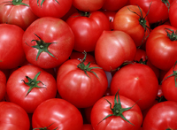 Clean Tomatoes 