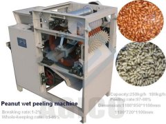 Peanut Peeling Machine Sold in Philippines